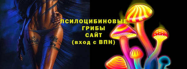 a pvp Медногорск