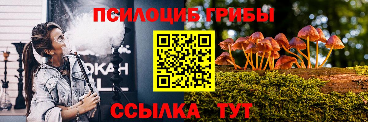Псилоцибиновые грибы Psilocybe  Вход с VPN  Псилоцибиновые грибы прущие грибы  Троицк 