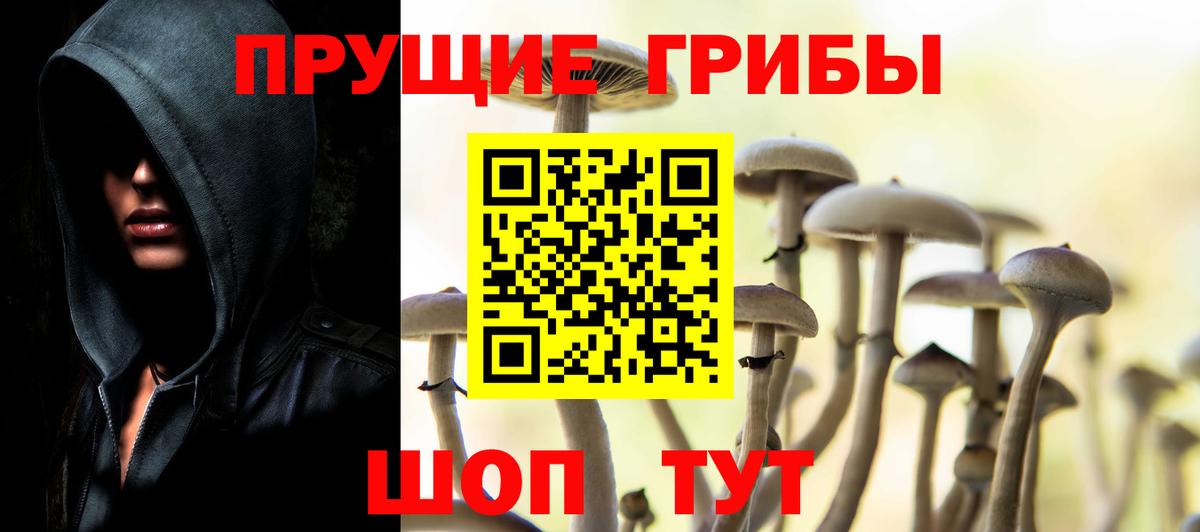Псилоцибиновые грибы прущие грибы Троицк