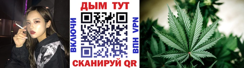 Бошки марихуана THC 21%  купить   Троицк 